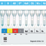 DG Gel ABO/Rh + Kell (RT)