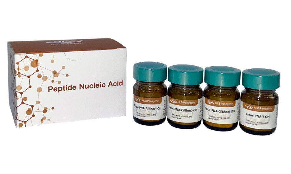 PNA monomer