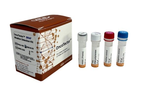 OncoTector™ BRAF Mutation Detection Kit