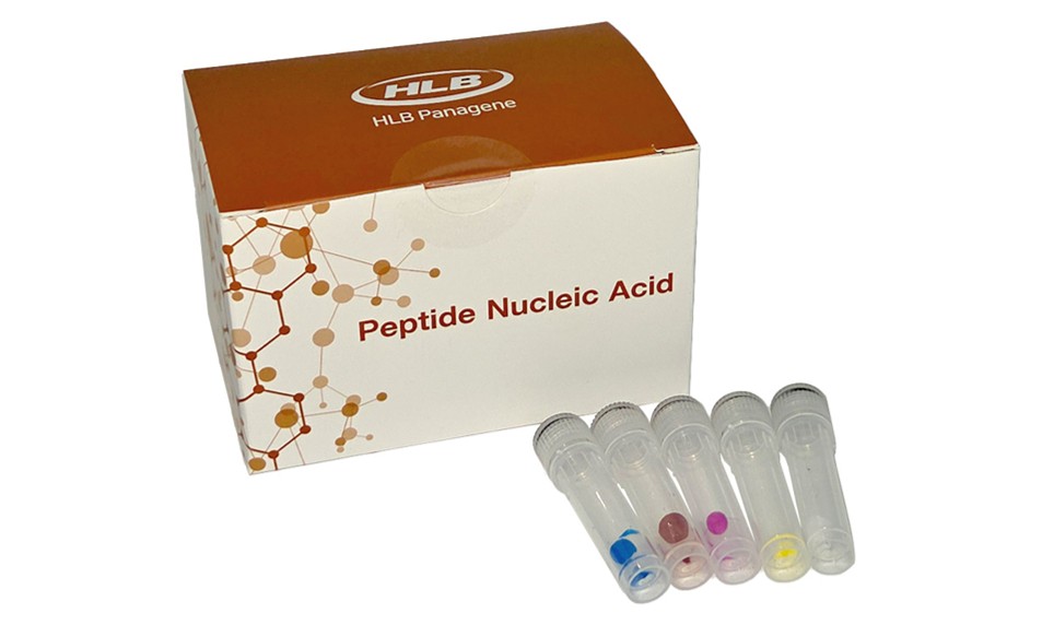 Custom PNA Oligo